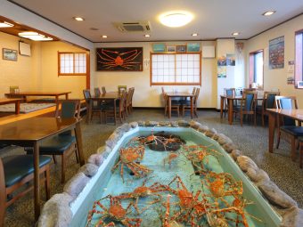 駿河湾の旬を味わう！
西伊豆で堪能する世界最大級のタカアシガニ🦀＆修善寺温泉散策🍁