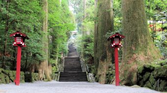 旧御用邸・菊華荘
「和のアフタヌーンティー」と
ポーラ美術館
