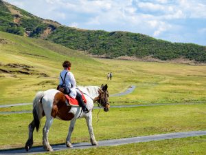 大正レトロな門司港と
昭和情緒豊かな杖立温泉