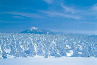 【第４回　岩手県　八幡平リゾート】
カービングスキーに最高！