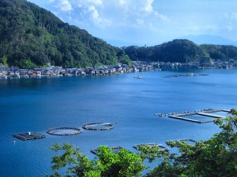 🚃観光列車くろまつで味わう🚃
天橋立・伊根の舟屋
🌷春の丹後路紀行🌸
