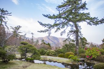 箱根小涌園「蕎麦　貴賓館」で味わう
本格蕎麦御膳と岡田美術館