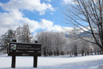 【第４回　岩手県　八幡平リゾート】
カービングスキーに最高！