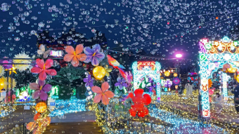 伊豆高原グランイルミと
元祖カピバラ露天風呂
海鮮浜焼き食べ放題