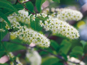 優雅な時間を満喫🍷
人気のオリエント急行で贅沢コースランチと
🌸箱根の花散策🌷