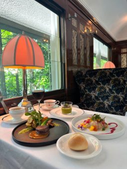 優雅な時間を満喫🍷
人気のオリエント急行で贅沢コースランチと
🌸箱根の花散策🌷