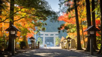 遠州・三河もみじめぐりと
ウェルシーズン浜名湖でランチバイキング