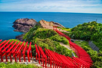 春の山口　日本海　神秘の絶景
⛩️<strong>元乃隅神社・角島・青海島をめぐる</strong>⛩️