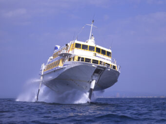 🟡佐渡の海景と金の島🟡
🌷越後の春めぐり🌷