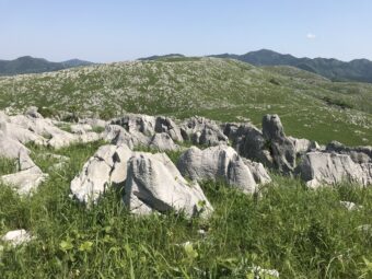 春の山口　日本海　神秘の絶景
⛩️<strong>元乃隅神社・角島・青海島をめぐる</strong>⛩️