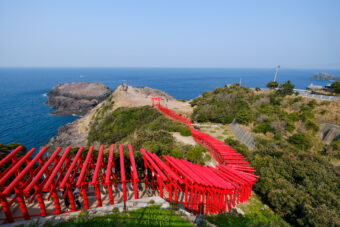 春の山口　日本海　神秘の絶景
⛩️<strong>元乃隅神社・角島・青海島をめぐる</strong>⛩️