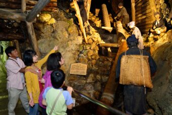 🟡佐渡の海景と金の島🟡
🌷越後の春めぐり🌷