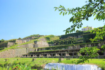 🟡佐渡の海景と金の島🟡
🌷越後の春めぐり🌷