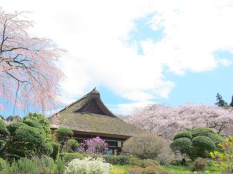 伝統の富士屋ホテル
「メインダイニング　ザ・フジヤ」で
優雅なフレンチランチ