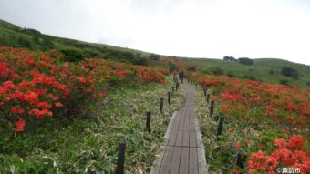 🥾霧ヶ峰ハイキング🥾
🌳車山高原から八島ケ原湿原を歩く🌿