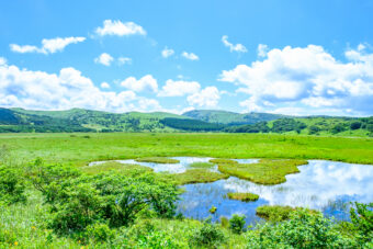🥾霧ヶ峰ハイキング🥾
🌳車山高原から八島ケ原湿原を歩く🌿