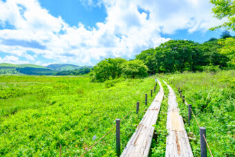 🥾霧ヶ峰ハイキング🥾
🌳車山高原から八島ケ原湿原を歩く🌿