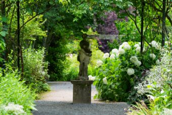 蓼科高原バラクライングリッシュガーデン鑑賞
優雅なアフタヌーンティーと高原のいちご狩り

&nbsp;