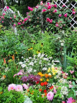 蓼科高原バラクライングリッシュガーデン鑑賞
優雅なアフタヌーンティーと高原のいちご狩り

&nbsp;