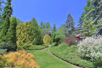 ～富良野から十勝へ～
🪻花咲く北海道ガーデン街道めぐり🌷