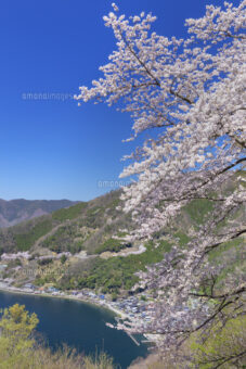 海津大崎の桜と三井寺観音堂特別拝観

琵琶湖畔のリゾートホテルに泊まる