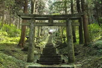 🌱新緑のベストシーズンに行く🌿
神々が宿る神話の里　神秘の高千穂めぐり