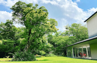 🌸箱根　青もみじと睡蓮の庭めぐり🌸
＜季節限定＞
🌼睡蓮のランチ＆スイーツ🌹
【名画のような睡蓮に出会う旅】