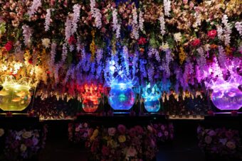 ✨風情あふれる貸切屋形船で特別な夜の宴✨
豊洲「千客万来」とチームラボプラネッツ TOKYO の幻想体験‼️