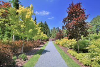 ～富良野から十勝へ～
🪻花咲く北海道ガーデン街道めぐり🌷